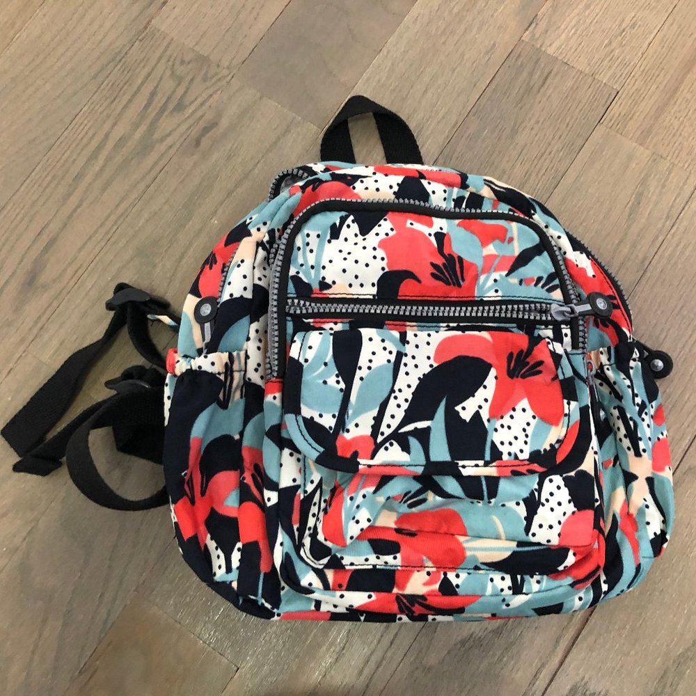 small backpack
